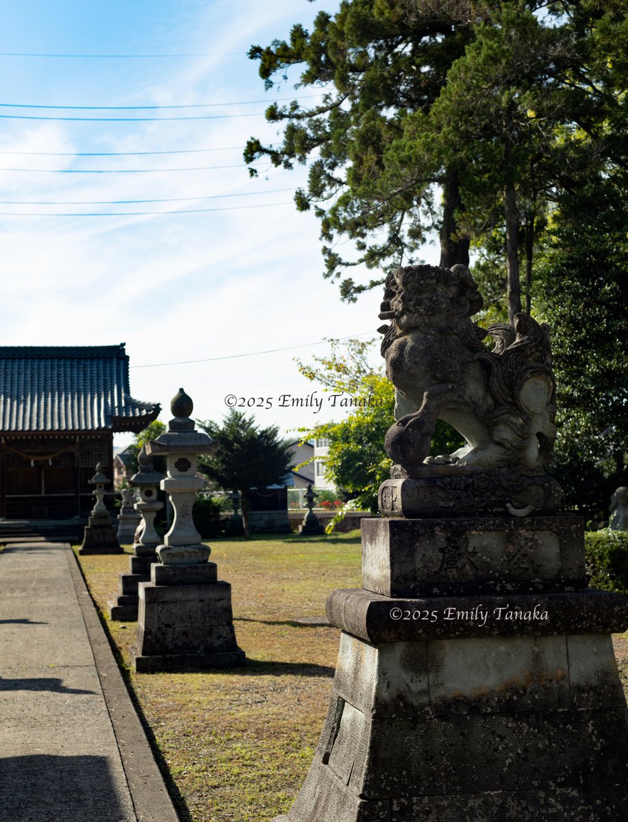 EAMahon's tweet photo. October 2nd - Temple Tranquility (Local Shrine)
Taken on October 2nd using a Nikon Z8, with an old AF NIKKOR 50mm 1:1.4D lens
#octoberly #Japan #Autumn #photography #shrine https://t.co/Alw5FzWwwP