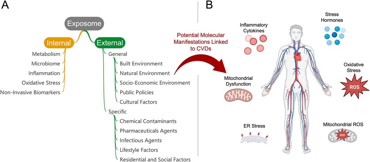Journal of Precision Medicine: Health and Disease tweet media