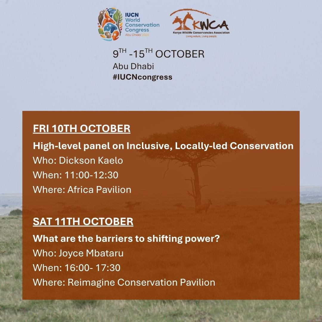 KWCAKenya's tweet image. Join KWCA at the #IUCNCongress2025 in Abu Dhabi from 9th-15th October to promote the role of inclusive community led conservation.
⁣⁣6️⃣KWCA speaking engagements
⁣🔊4 KWCA speakers
⁣⬇️Learn about each session and speaker
⁣⁣#IUCNcongress #NatureForAll #AbuDhabi2025