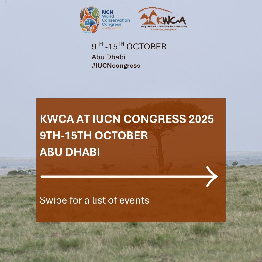 KWCAKenya's tweet image. Join KWCA at the #IUCNCongress2025 in Abu Dhabi from 9th-15th October to promote the role of inclusive community led conservation.
⁣⁣6️⃣KWCA speaking engagements
⁣🔊4 KWCA speakers
⁣⬇️Learn about each session and speaker
⁣⁣#IUCNcongress #NatureForAll #AbuDhabi2025