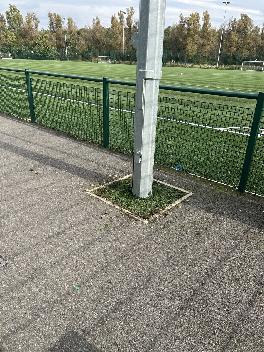 Goshen Football Foundation tweet media