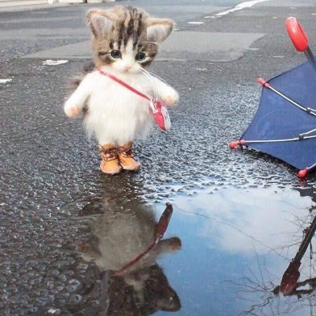 ยืนพุงเต่งอักแย่ะอ้วร 😽😽🤌🏻

#HEARTchuthiwat
#BUSSINGJAPANEP9