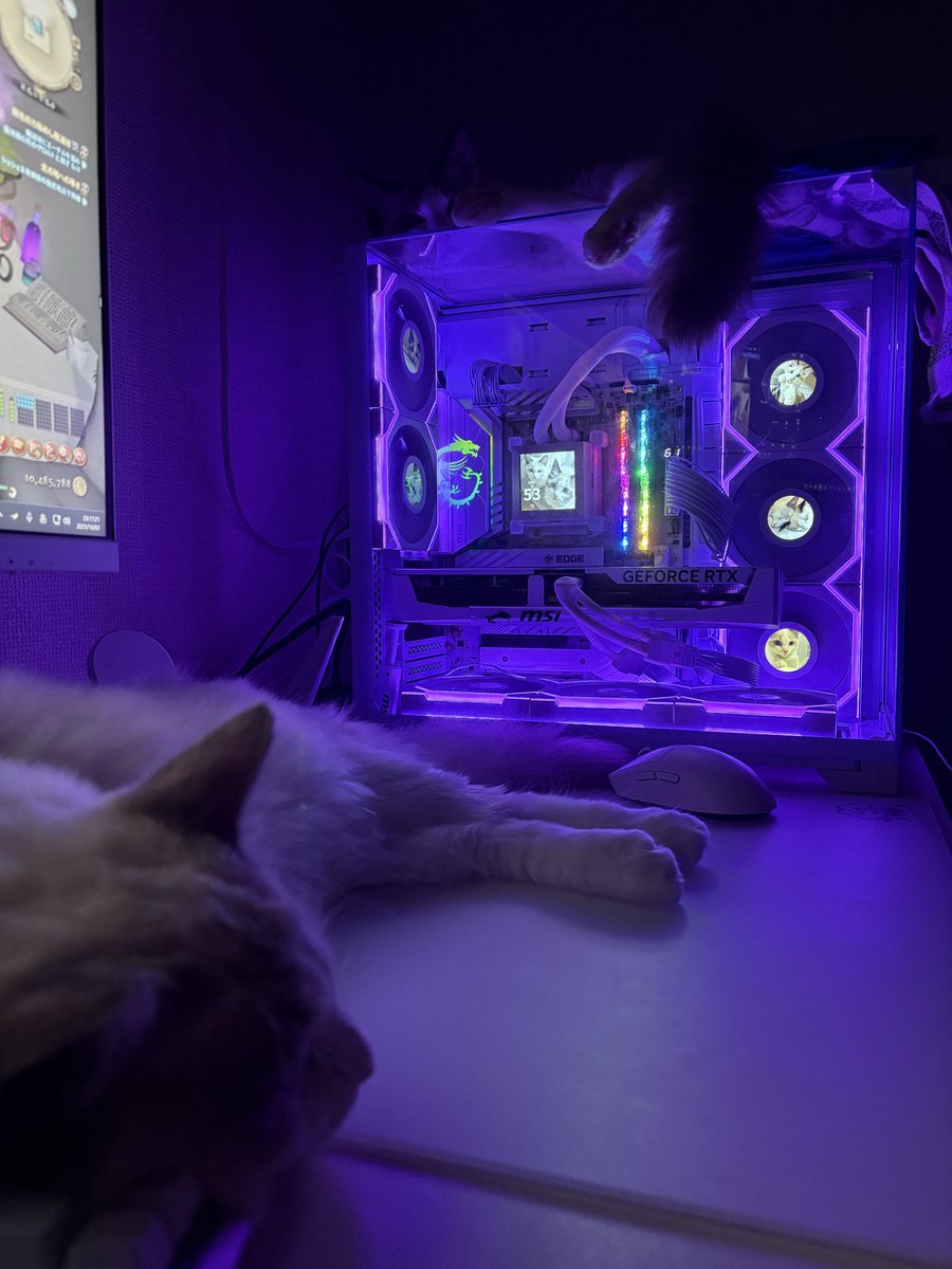 絶エデン固定中