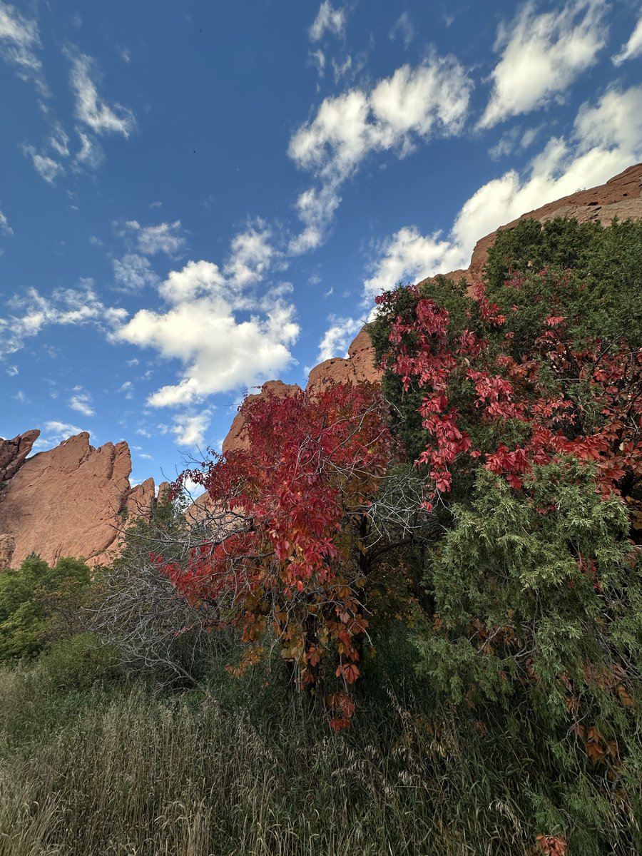 Dave Kluge tweet media