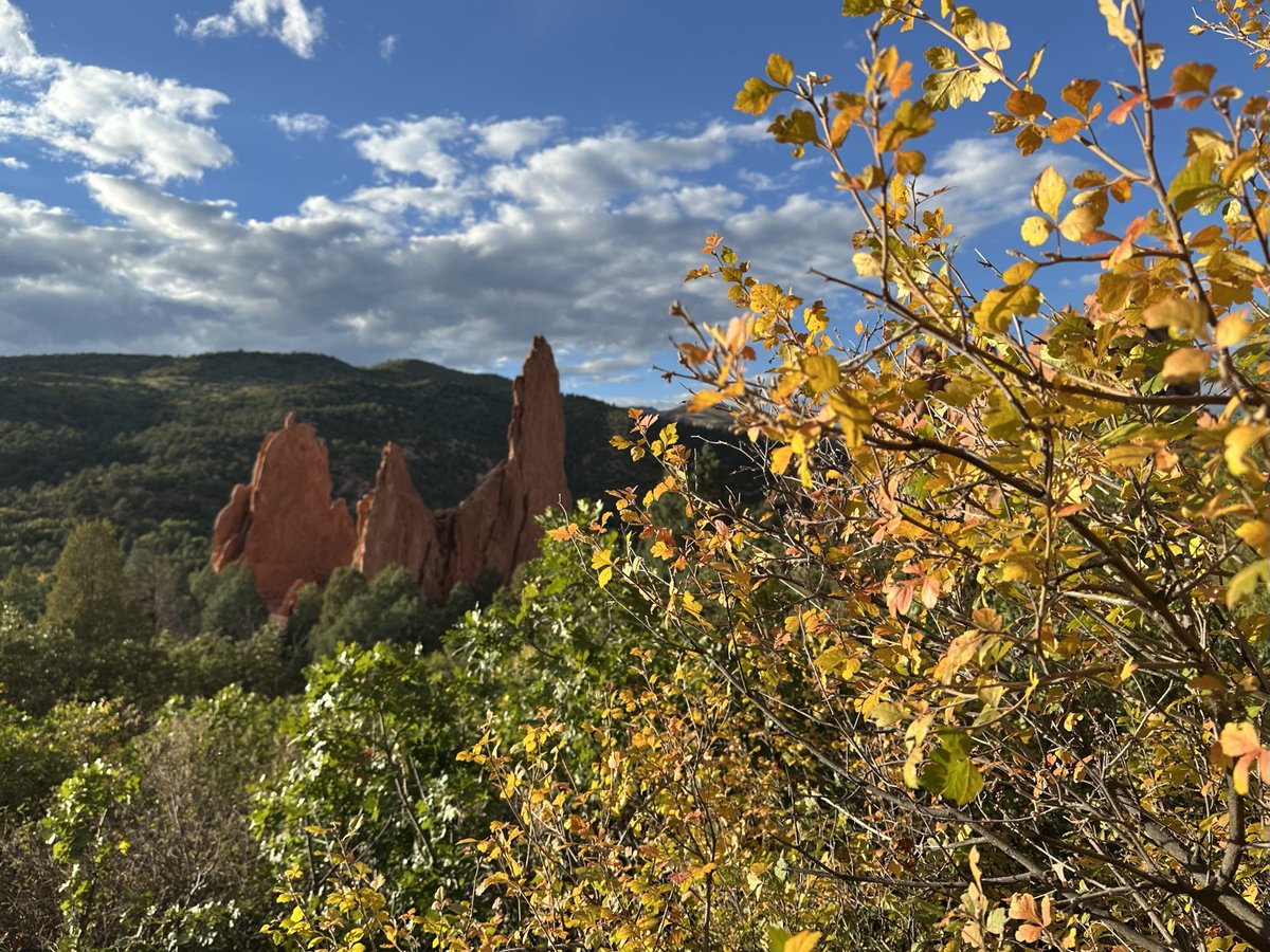 Dave Kluge tweet media