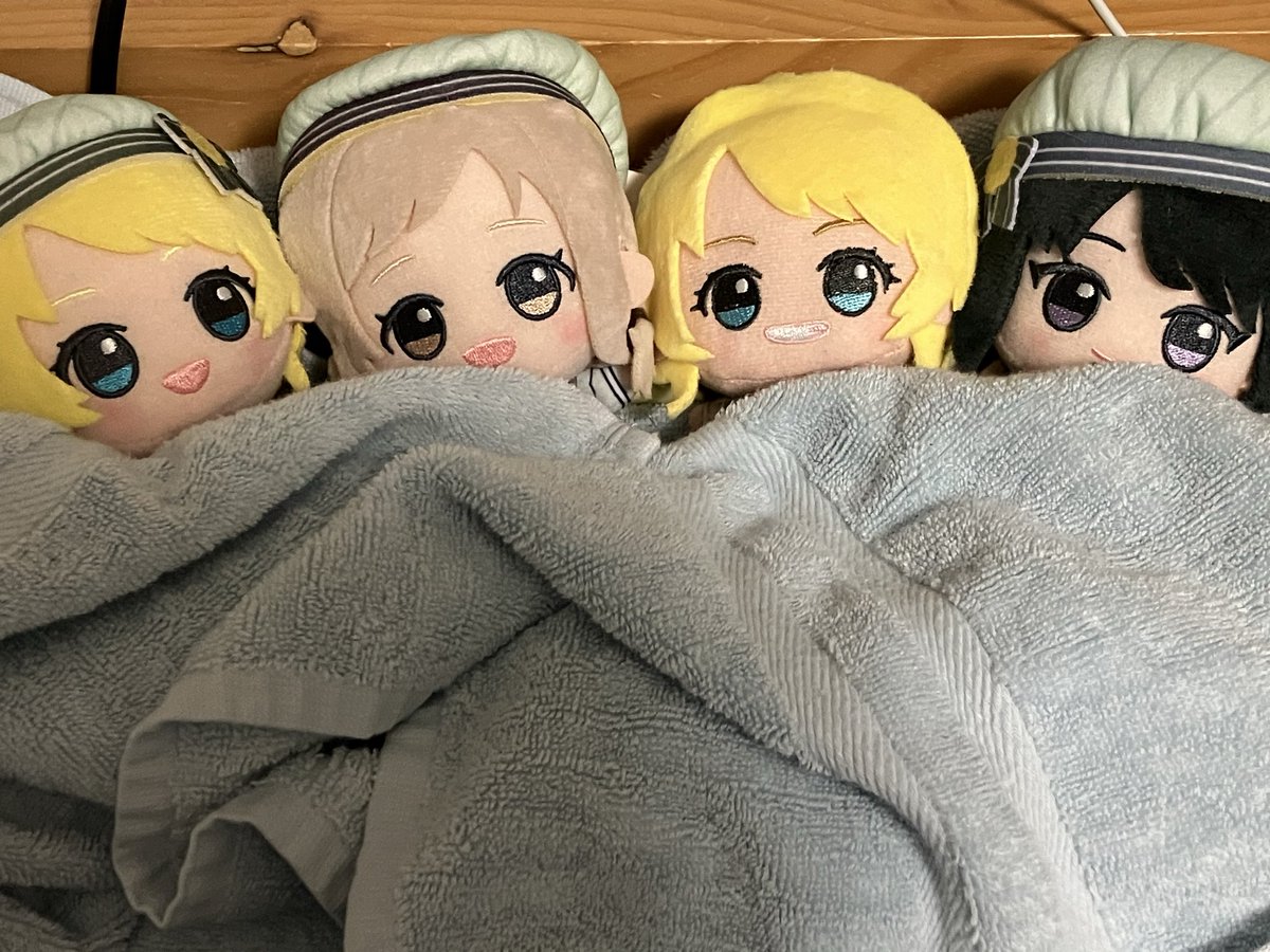 最近寝る時ずっとこれ