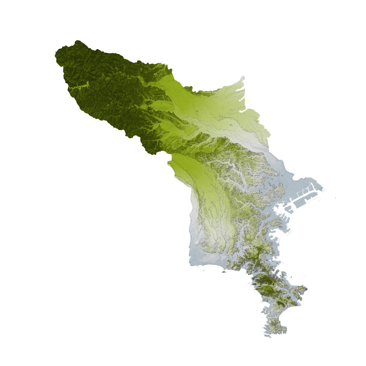 pede_deck's tweet image. 神多摩（しんたま）