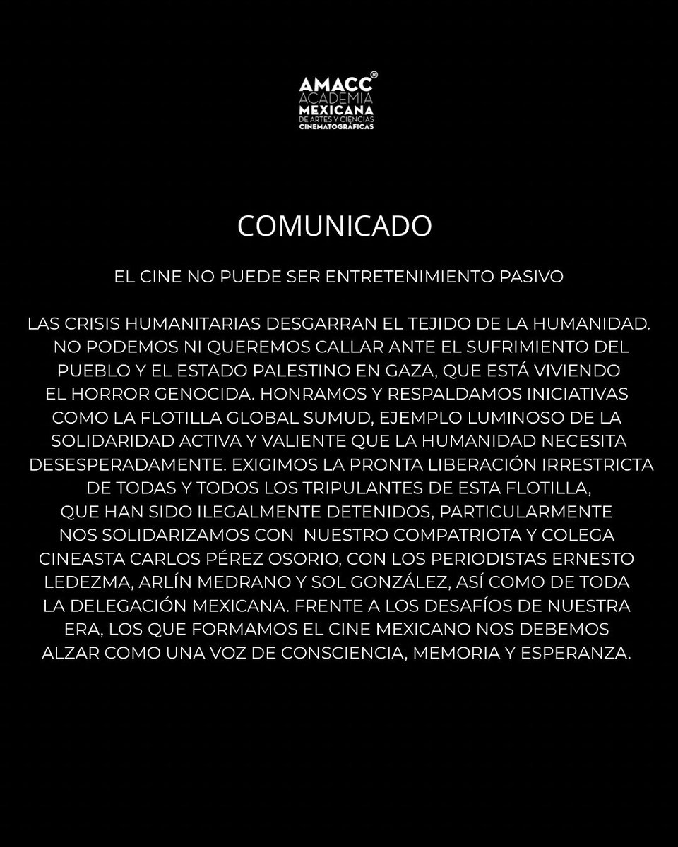 El cine no puede ser entretenimiento pasivo

Las crisis humanitarias desgarran el tejido de la humanidad. No podemos ni queremos callar ante el sufrimiento del pueblo y el Estado palestino en Gaza, que está viviendo el horror genocida.