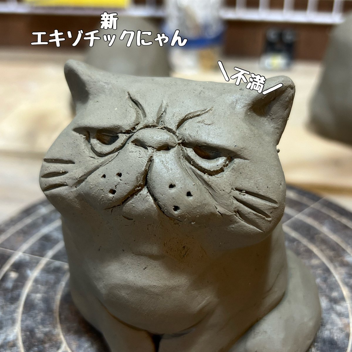 布施猫 (@c_a_takurofuse) / X