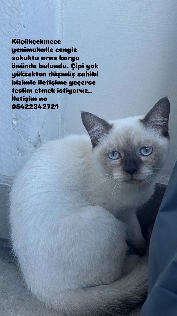 Tapınak Sahaf (@tapinaksahaf) on Twitter photo 