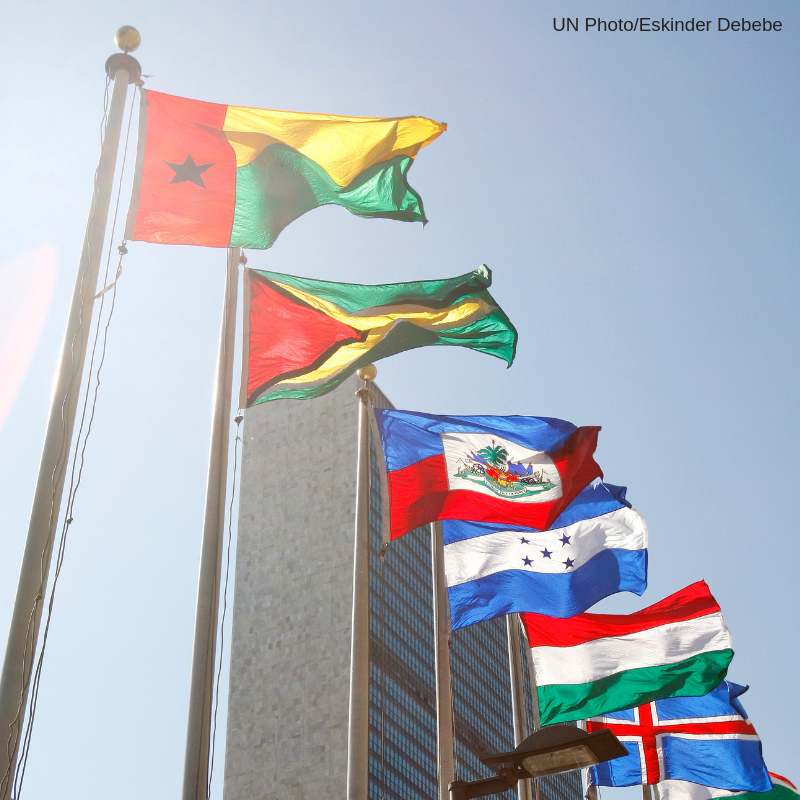 UNLibrary's tweet image. ¿Cuál es el tema propuesto para el Debate General durante el 80º período de sesiones de la #UNGA? #ONU 

#AskDag: ask.un.org/es/faq/234697