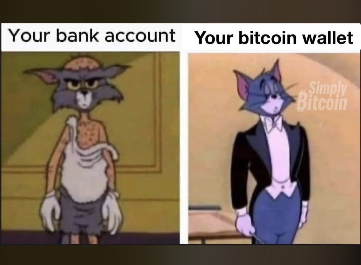 J’ai demandé à mon grille-pain s’il connaissait #Binance…
Depuis, il ne grille que des bitcoins 🥖💸
#SurBinance <a href="/LeBinanceFR/">Binance France</a>