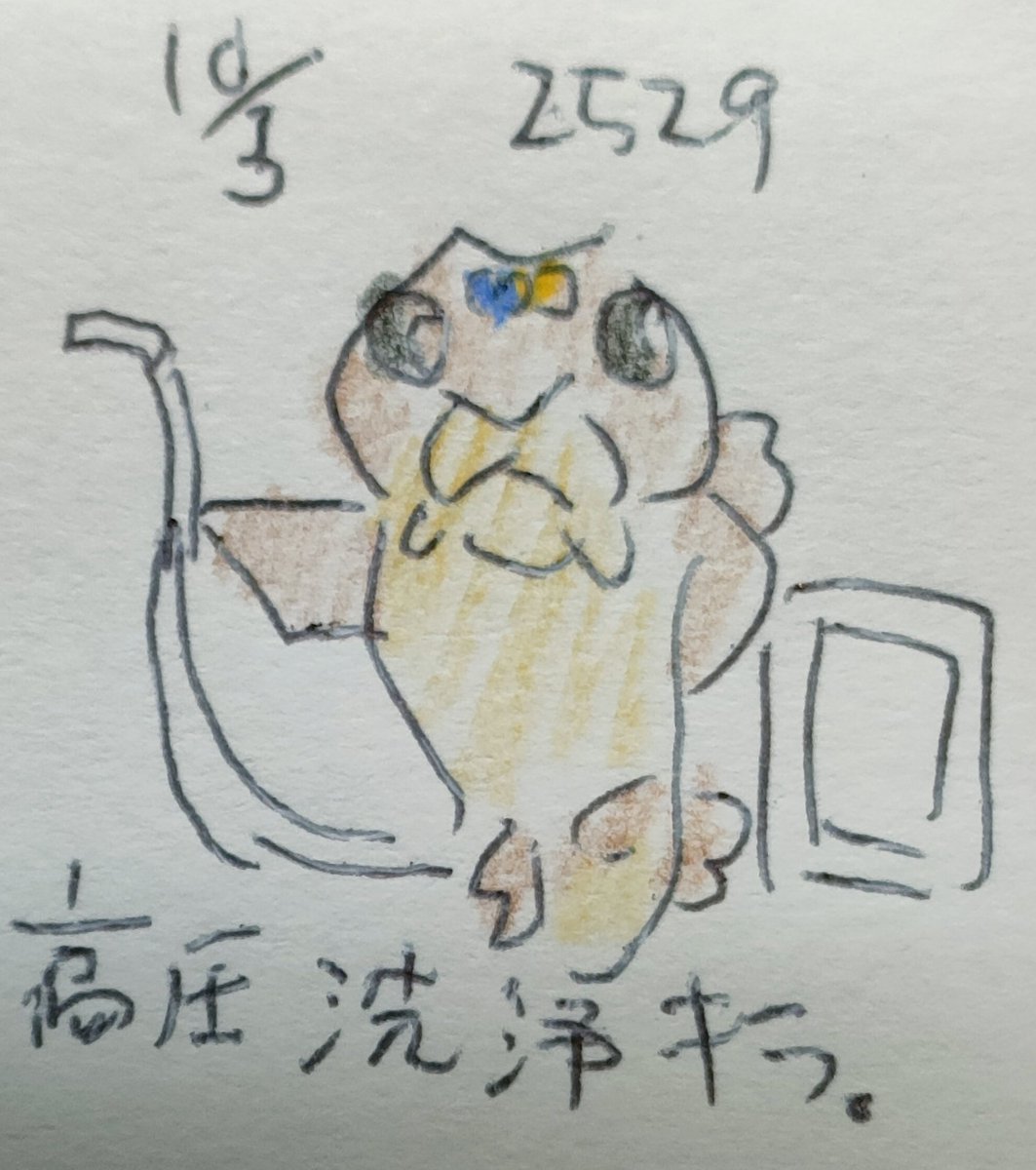 ネコザメ太郎 (@necozame_tarou) / Posts / X