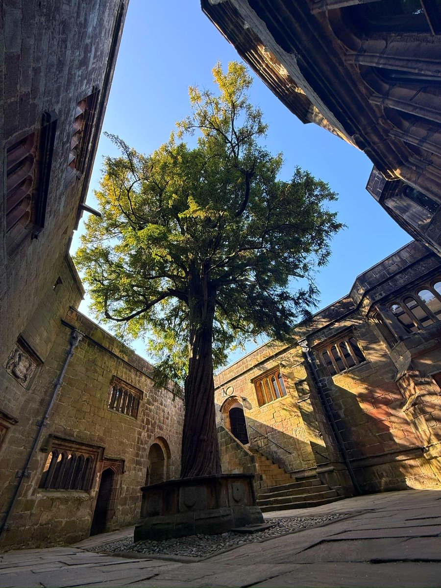 Dan Walker tweet media