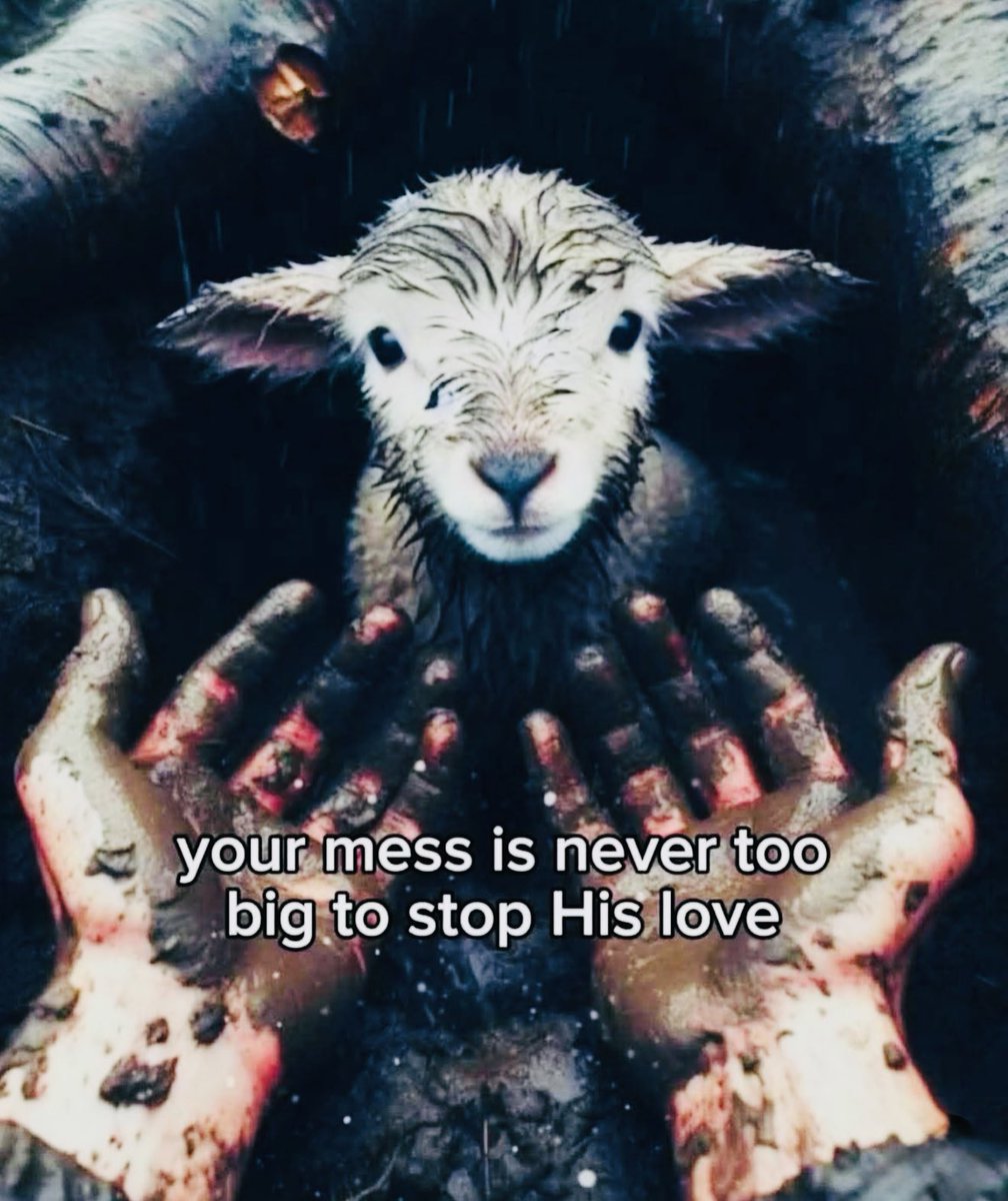 Emmanue37844681's tweet image. Psalms 27:10
“When my father and my mother forsake me, then the LORD will take me up.”