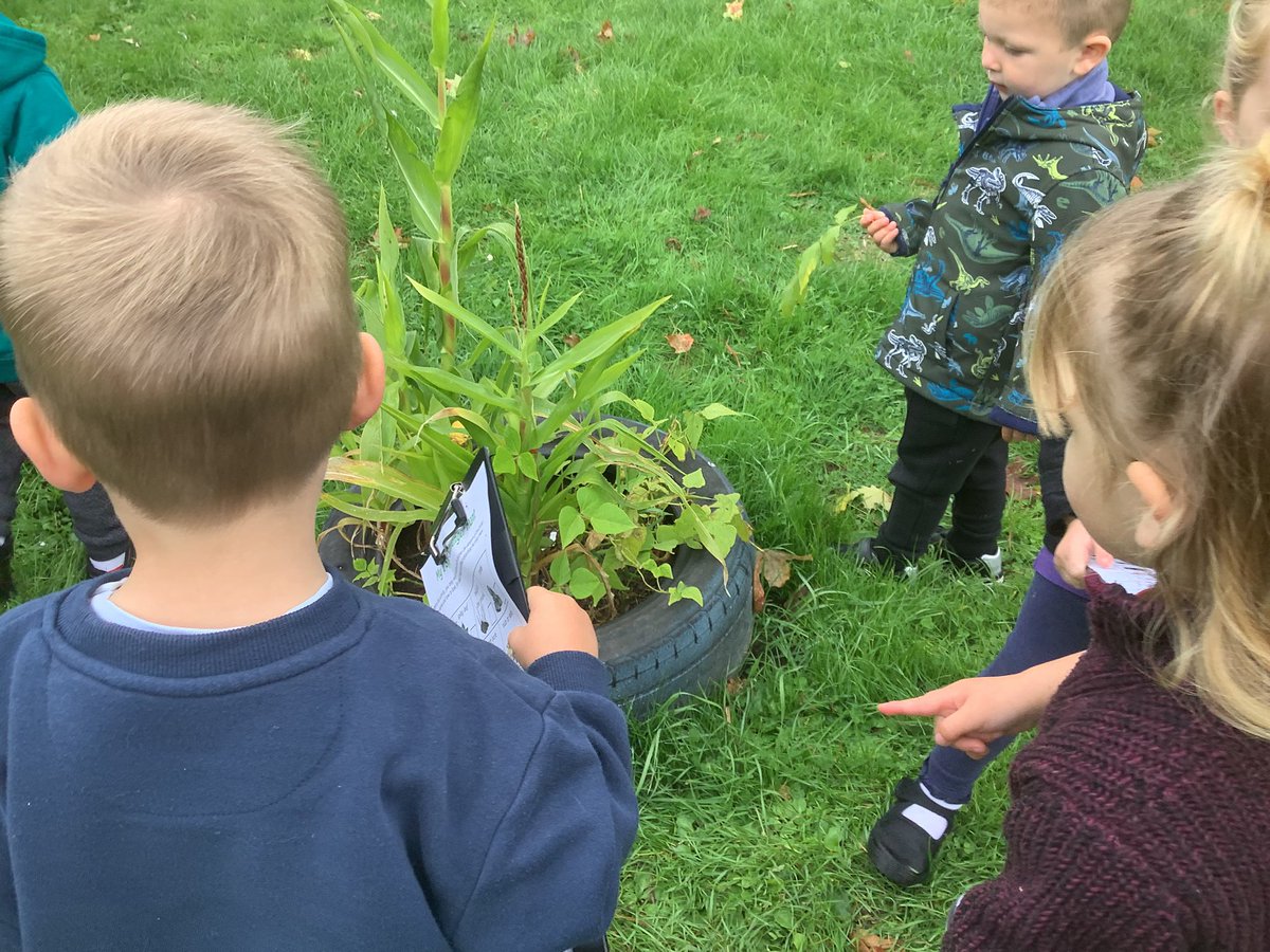 Little Learners @ West Huntspill Primary Academy tweet media