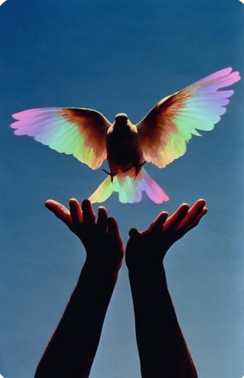 21h21 min 🙏🏼💫🕯🕊Light, Love and Prayers for Peace All over the world