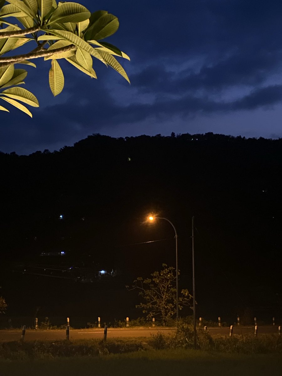 Xing Kohan tweet media