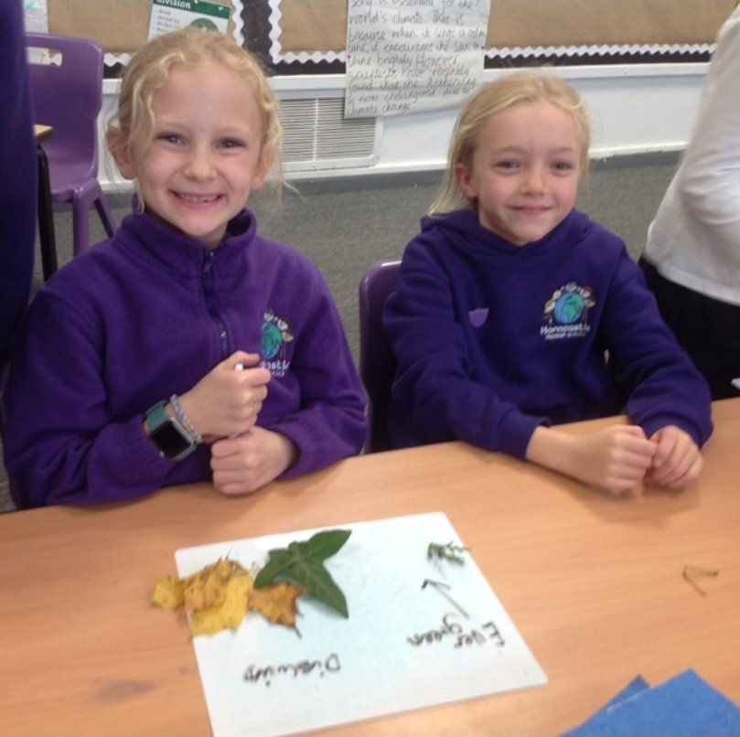 HorncastlePri's tweet image. Y4 looked at physical examples of plants, observing them closely and talking about criteria for grouping, sorting and classifying.  We collected leaves from deciduous and evergreen trees to sort and classify them based on their leaf structure. @kapowprimary 🍃🍂🍁