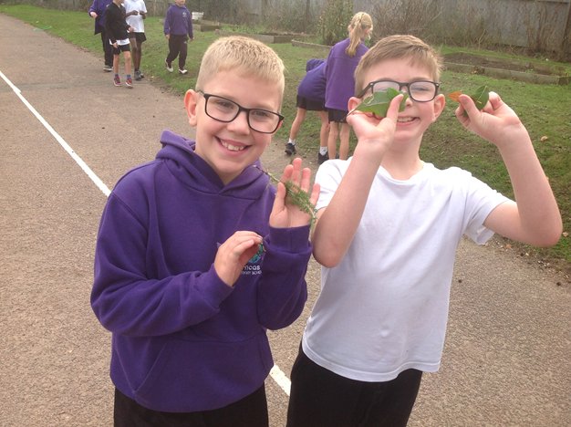 HorncastlePri's tweet image. Y4 looked at physical examples of plants, observing them closely and talking about criteria for grouping, sorting and classifying.  We collected leaves from deciduous and evergreen trees to sort and classify them based on their leaf structure. @kapowprimary 🍃🍂🍁