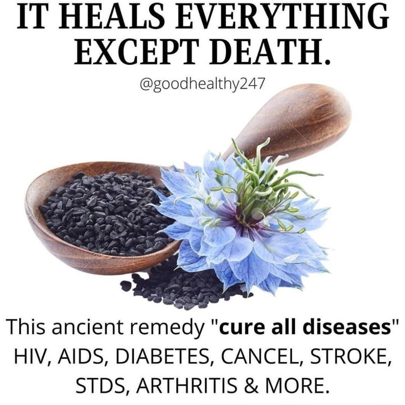 iontecs_pemf's tweet image. BLACK SEED OIL: 'HEALS EVERYTHING EXCEPT DETH'

Black seed oil is a *powerful, broad-spectrum antiparasitic &amp;amp; all dis-eases are parasites that inject toxins into your system

This is why when you are overwhelmed by parasites, they call you 'sick' (toxic)
x.com/OrganicLiveFoo…