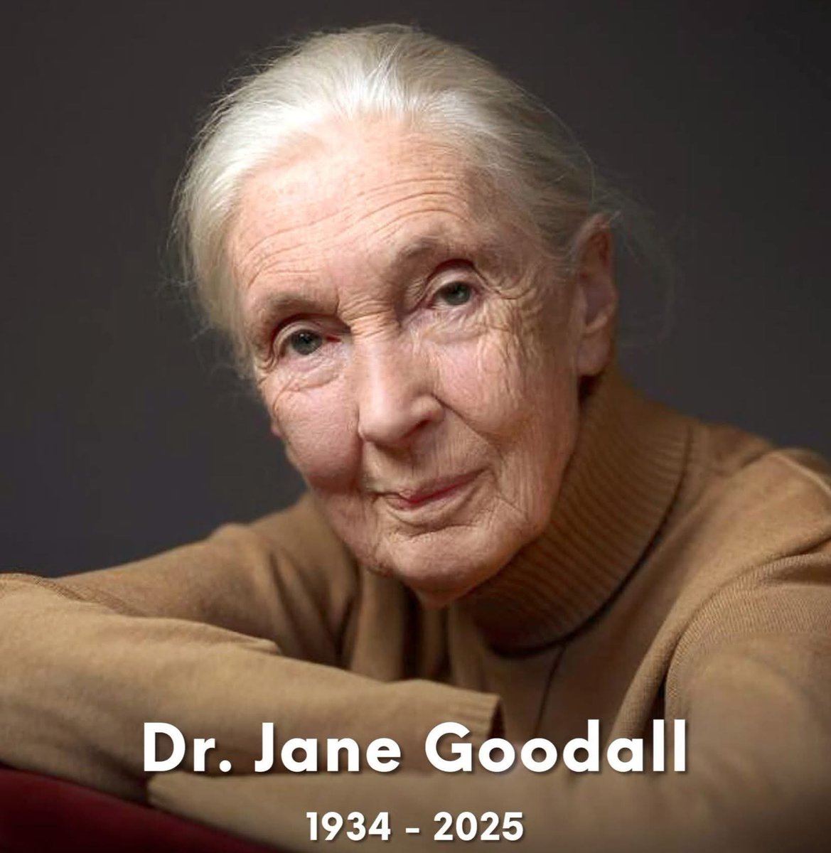 Manisha Verma tweet media