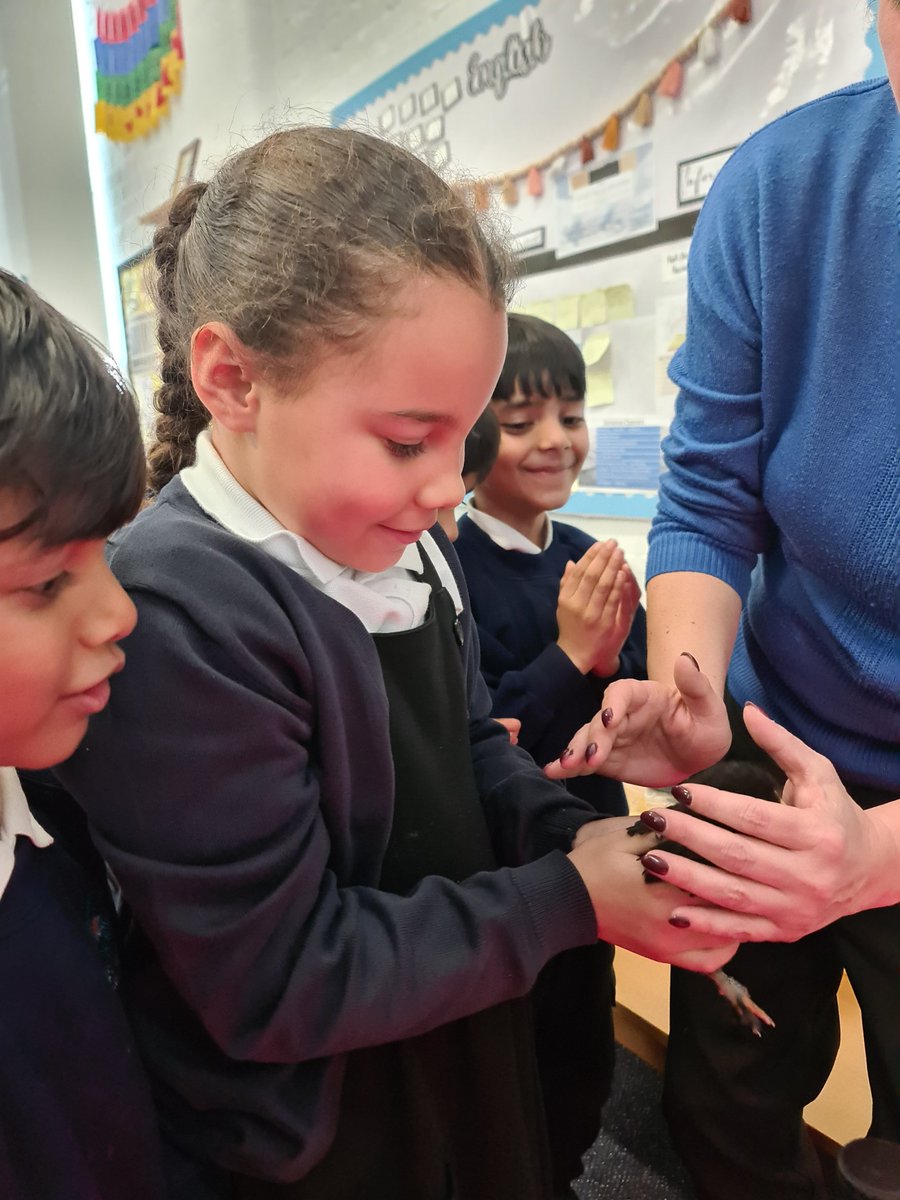 MrsFojdar_AMPA's tweet photo. 2NF loved having a cuddle with the baby chicks! Thank you to 6ZE and Mrs Elliot for having us ❤️ 😘 @Abb https://t.co/nEd7sr4pz0