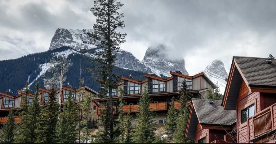 Investigative Journalism Foundation tweet media