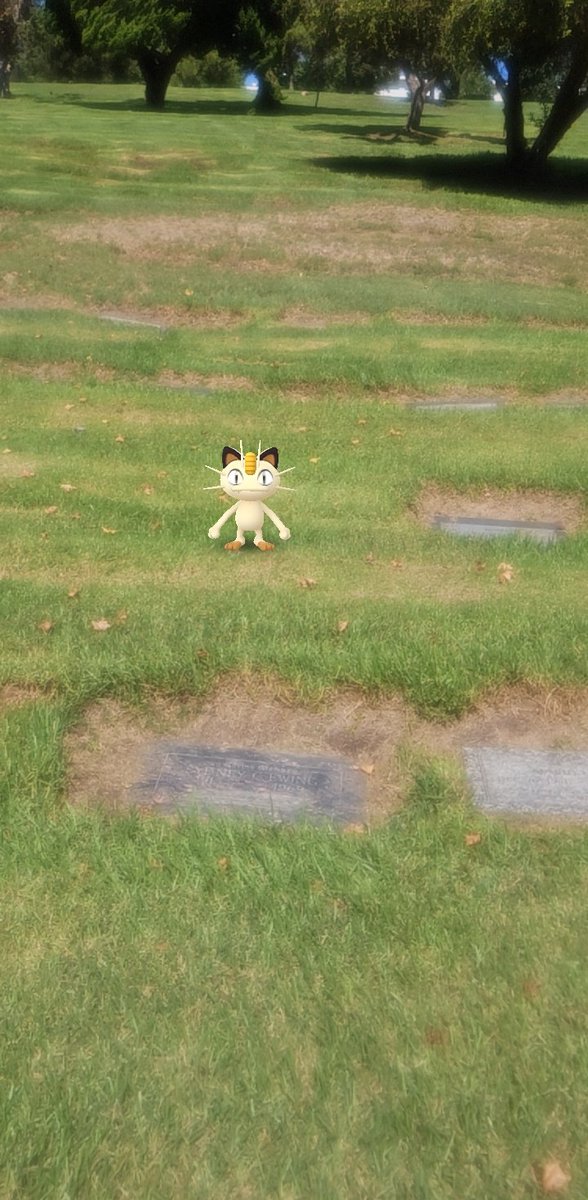 ExdiarkYT's tweet photo. At da graveyard playing some pogo https://t.co/ctvd6eJsYF
