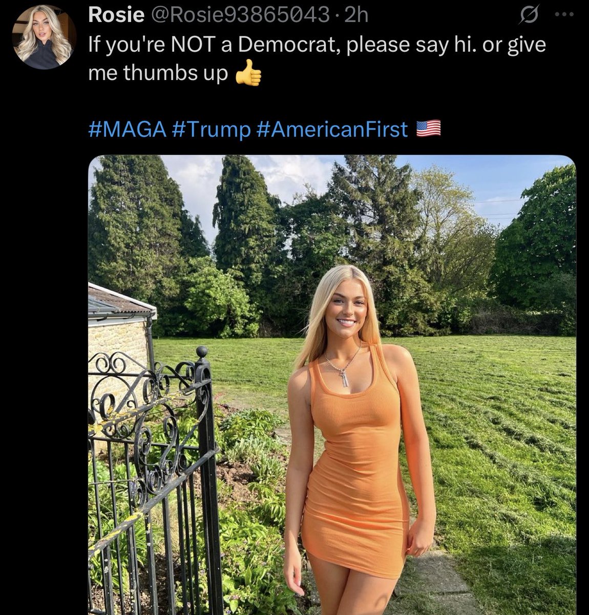 Steve 🇺🇸 tweet media