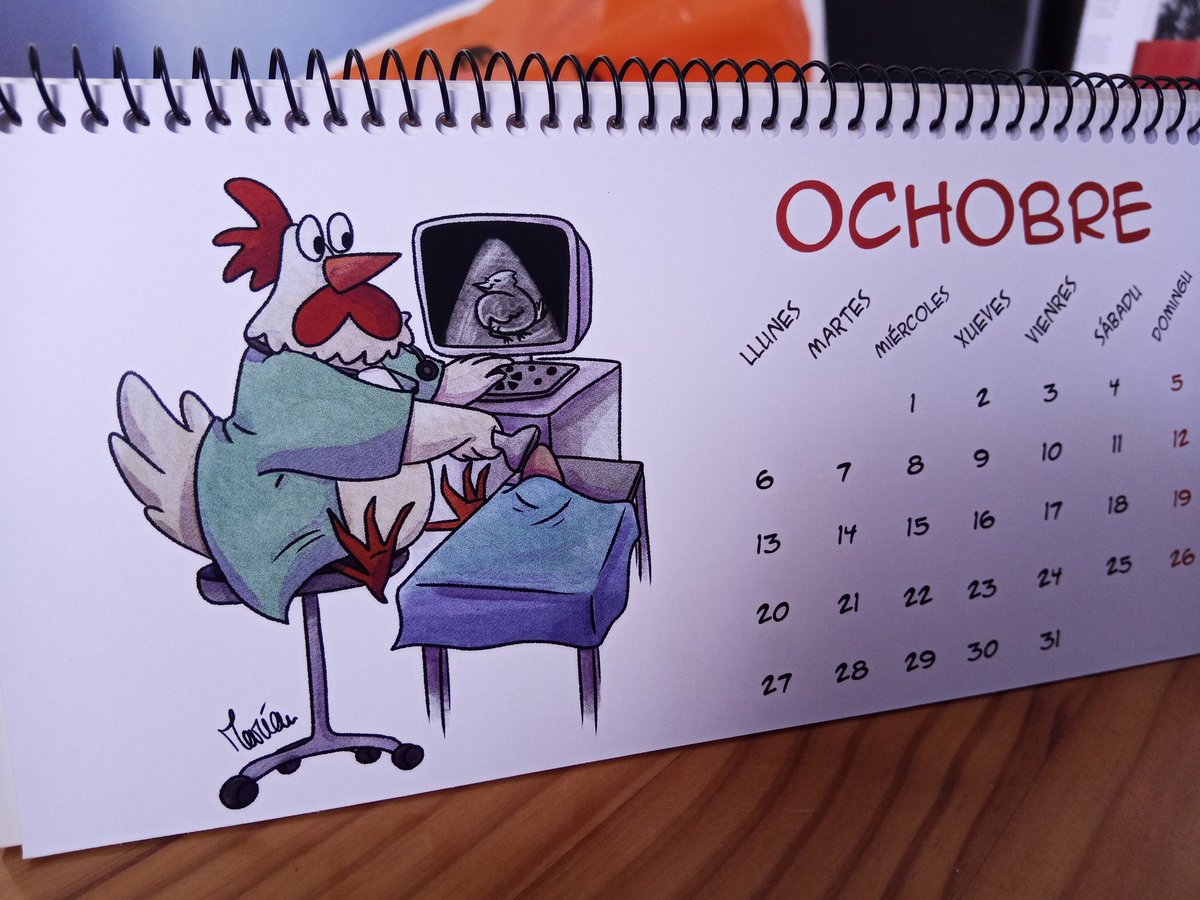 Maria_drawing's tweet photo. En octubre tenemos una de mis favoritas: la doctora gallina 🐔 
Parece que va todo bien con el pollito casi bebé https://t.co/Wp9jjyItPT