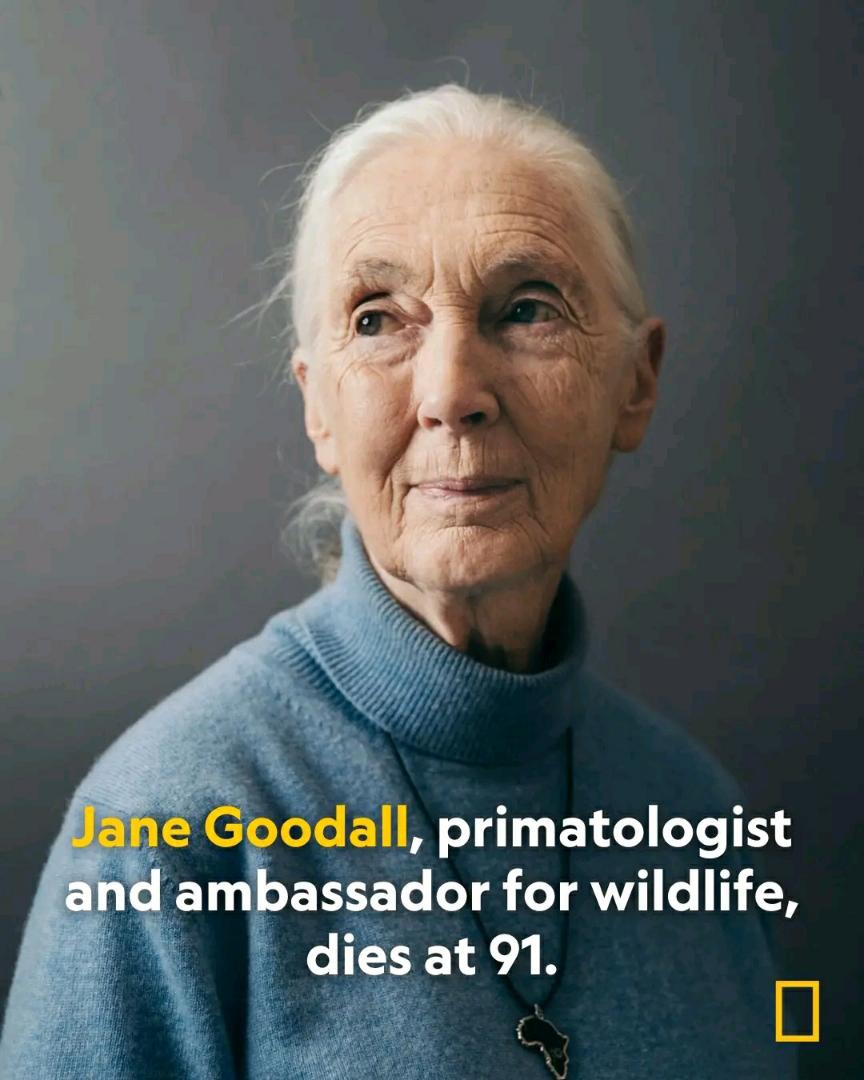 PB_Barekye's tweet photo. I'm saddened by the transition into a much higher glory of Dr.Goodall. Her works in Uganda inspired many of us to forever support efforts  aimed at conservation of species. https://t.co/spousAqaM4