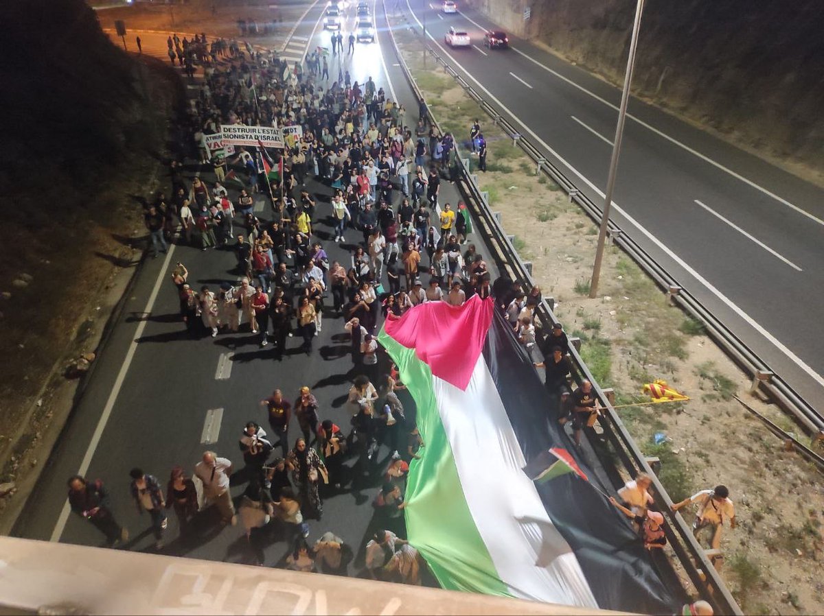 okupemlesones's tweet image. Manifestació a Tarragona en suport a #Gaz i la #Flotilla ha tallat l’autovia A7