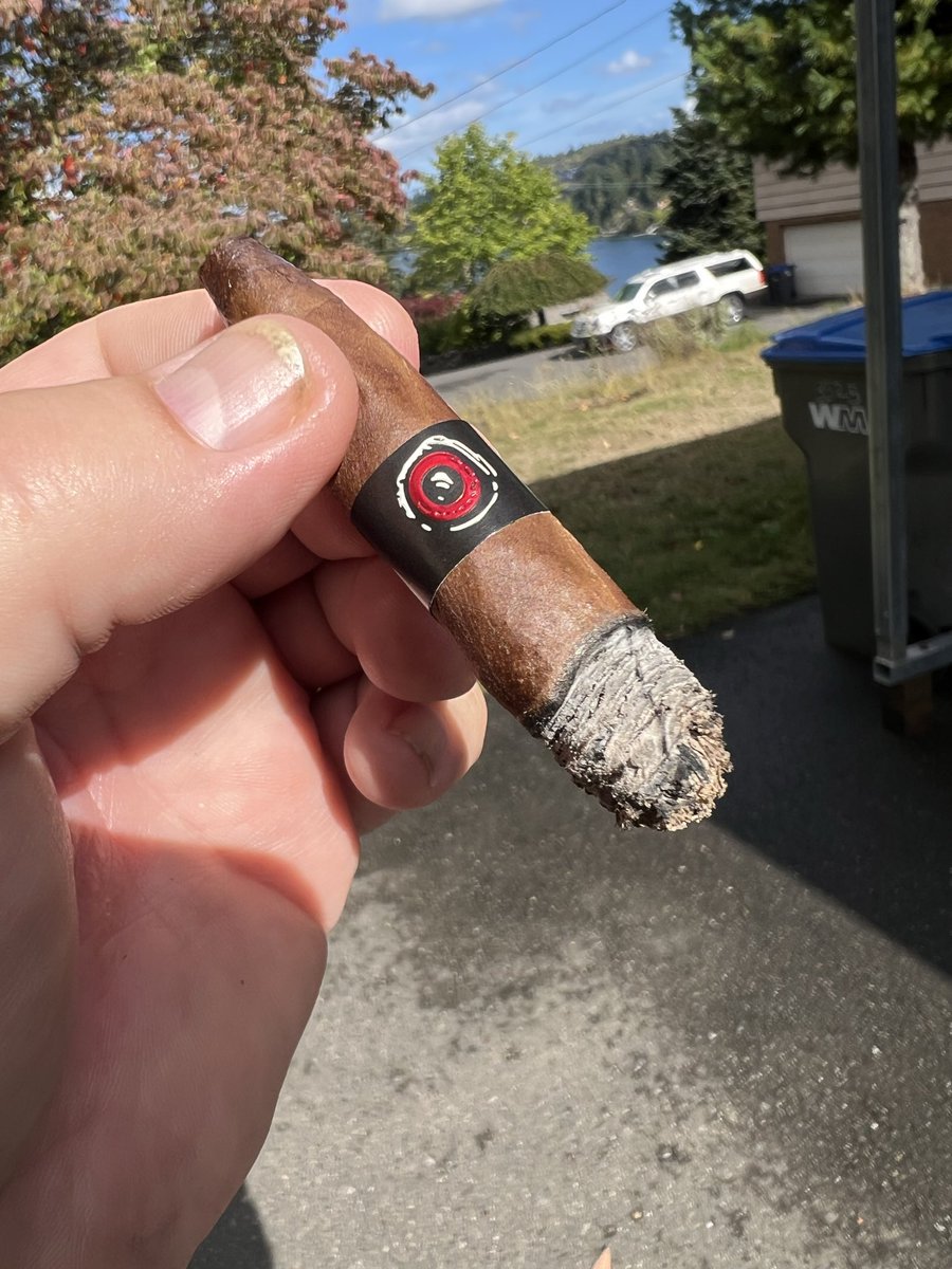 Ed-e Higgins is smoking Mad Minnow. Rated with thumbs up! dojoverse.com/news-feed/p/70…