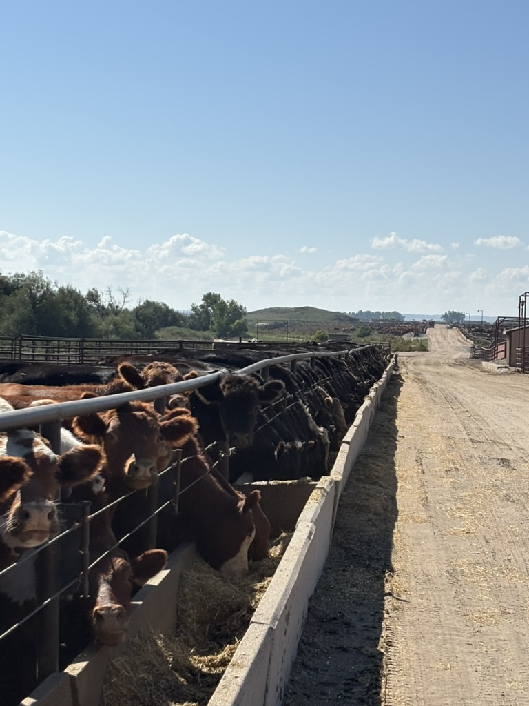 RedbookSoftware's tweet image. The view you are really hoping to see when you feed your first pens with Redbook