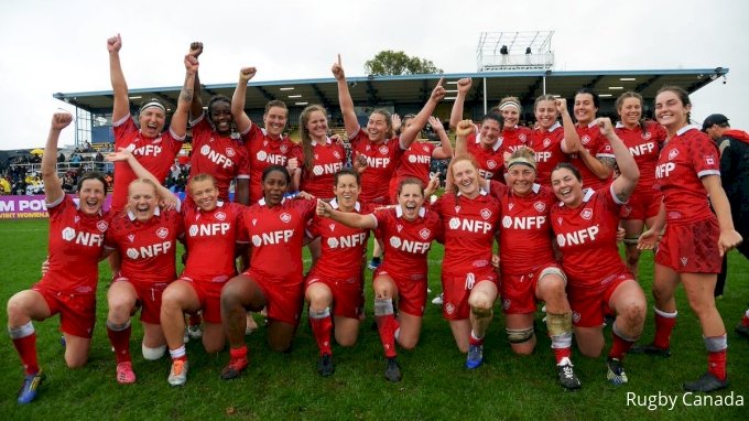 Paddy Noctor 💙 tweet media