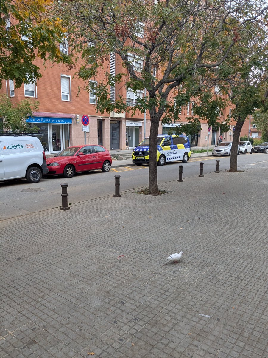 Quina sort tenir @PoliciaRipollet tan a prop... sobretot quan aparquen en zona prohibida per anar a comprar al super pa i embotit per berenar🍞🥖🥓
Mentrestant, a la resta ens cau la multa al moment.
<a href="/AjRipollet/">Ajuntament Ripollet</a> tot correcte, oi? <a href="/InfoRipollet/">InfoRipollet</a> <a href="/fmwripollet/">fmwripollet.cat</a>