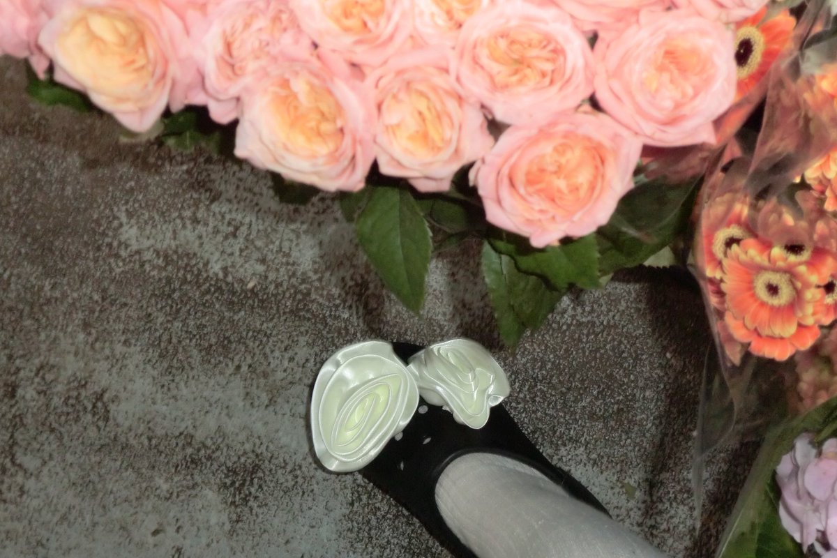 특유 색감이 너무너무 예쁜 내 첫디카...
딴거들일생각도 딱히 안들정도로 넘 이쁨🤍🤍
카시오 ex-z2300 붐업붐업•••