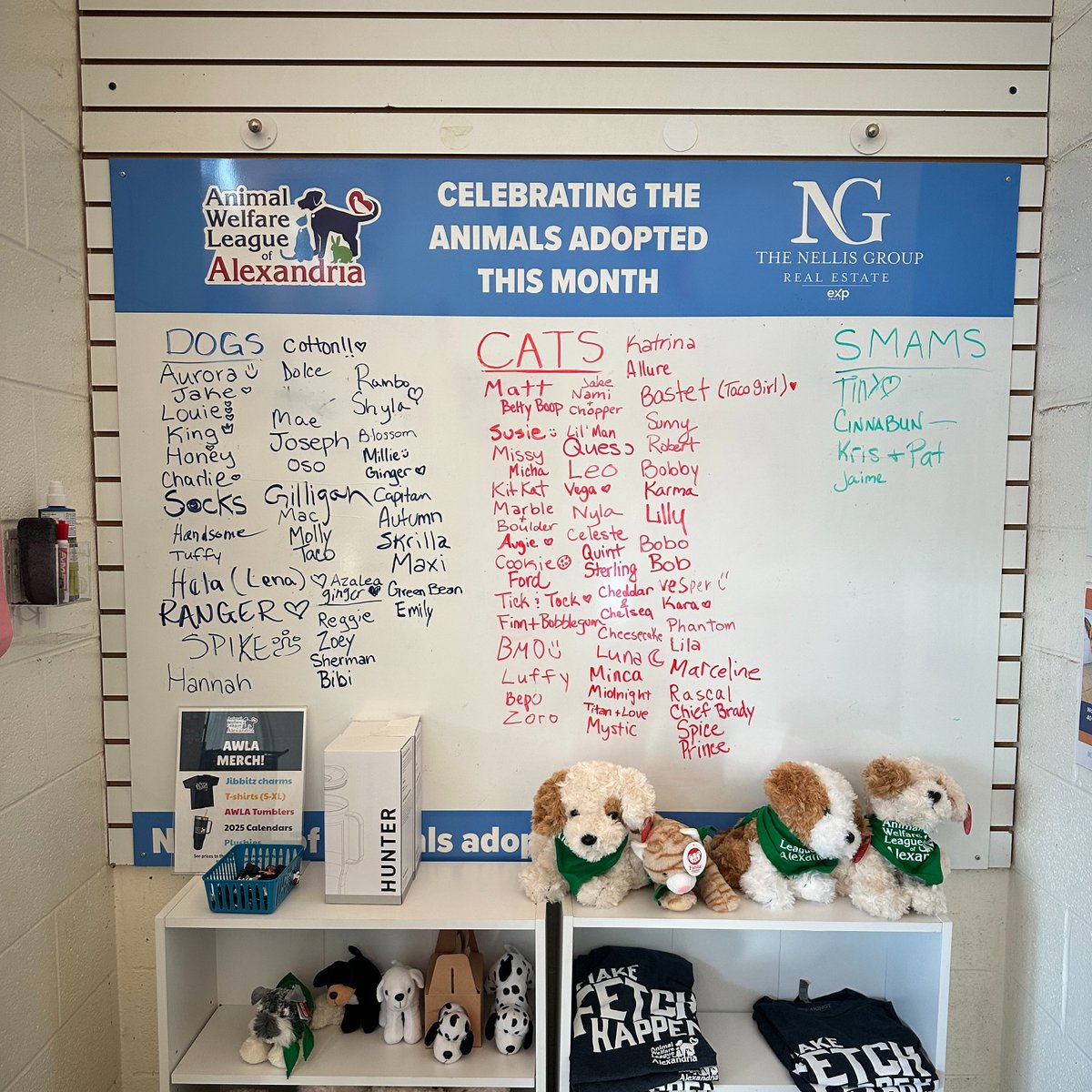 AlexAnimals's tweet photo. September was a month to remember - 109 animals found loving homes last month!
We're not slowing down in October! π All month long, adoption fees are waived for dogs 40+ lbs., thanks to our friends at Beyer Subaru.
#alexanimals #adopt #dc #dmv #subarulovespets https://t.co/jcQRWeyqcf