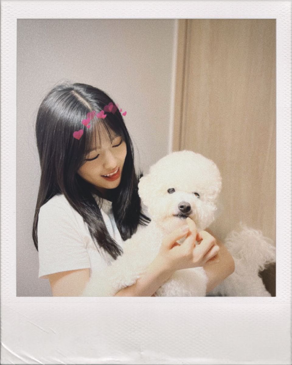 hani (@focusnummii) / Posts / X