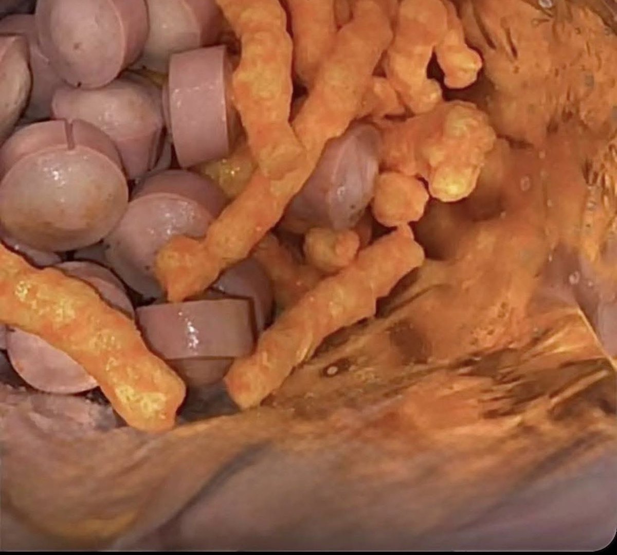 Skeptile 🇺🇸 tweet media