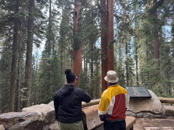 Keepin It Claro 🌲
.
⚡️💤⚡️

w/ BONG BONG BAGOONG
<a href="/MagestikLegend/">Magestik Legend</a>