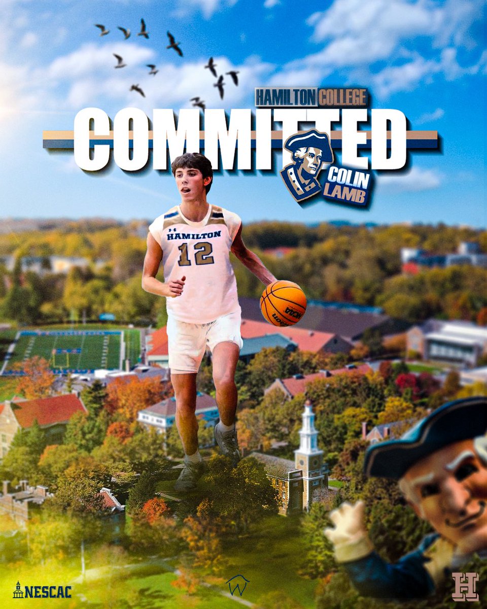 Colin Lamb tweet media