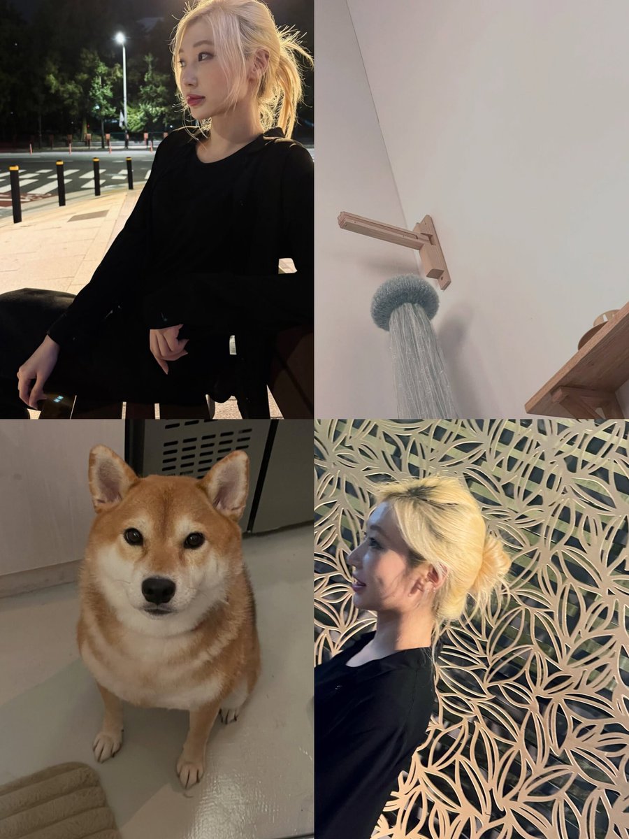 jinnyflow's tweet image. 🐾🖤