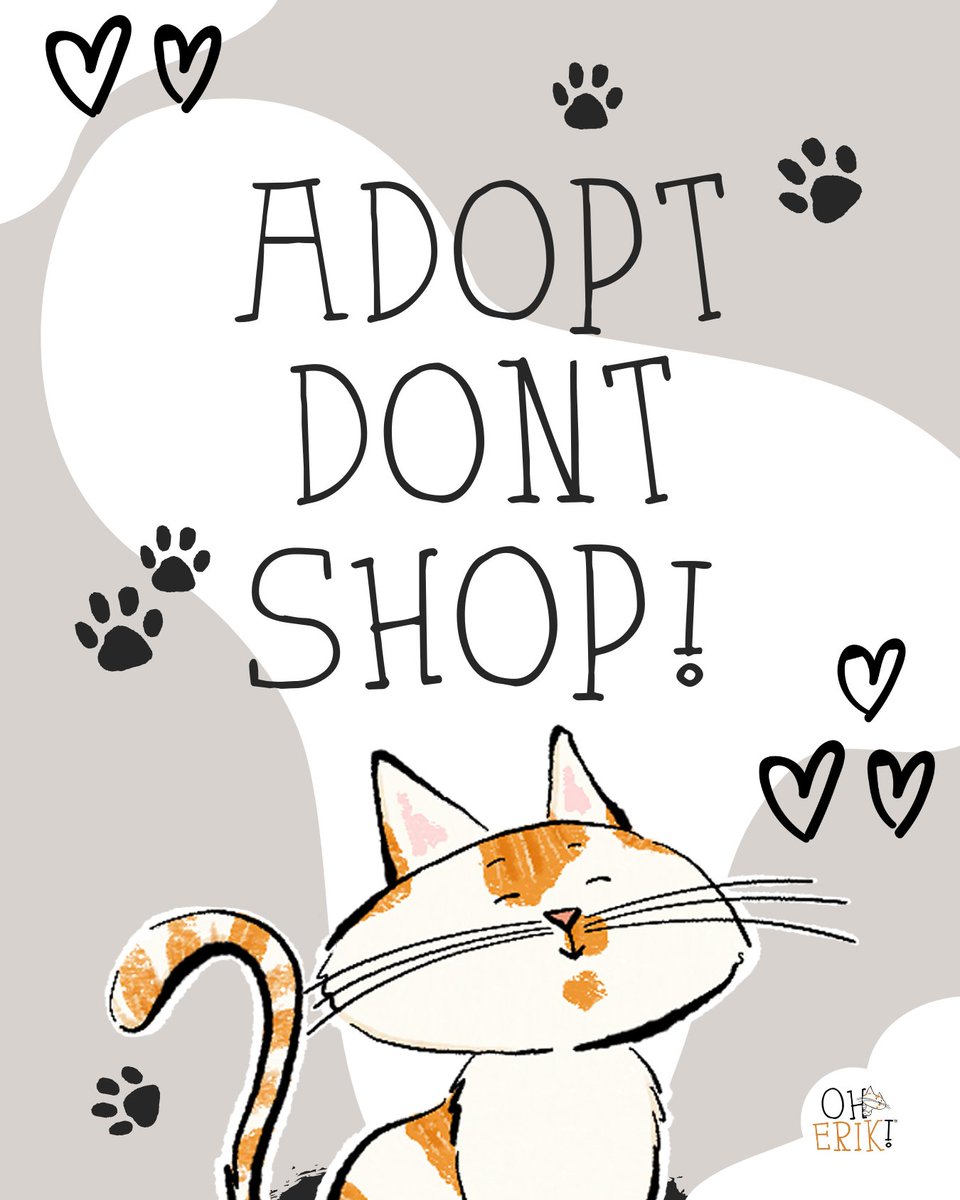 “Humans often ask, ‘Why this cat?’ And I say… why not every cat who needs a home? 💛 There’s a furry soul out there who will fill your heart like I fill my humans’ lap… awkwardly and with fur everywhere.
 #AdoptDontShop #CatWisdom #FurryFriendsForever”