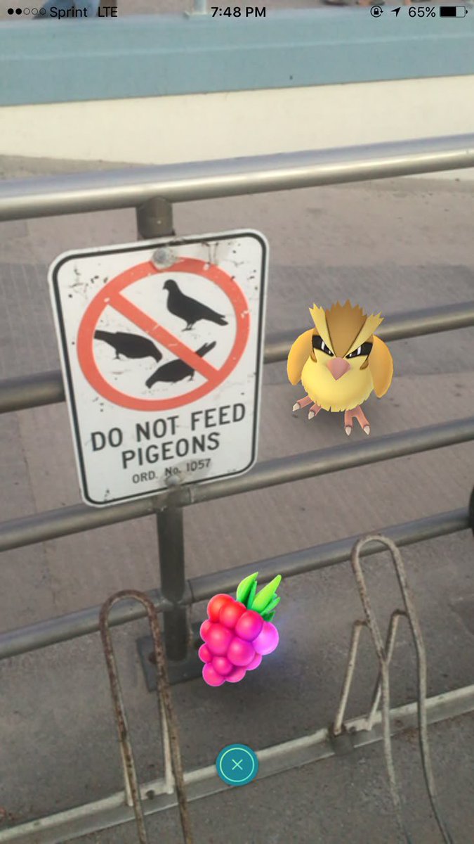 Why everyone loves Pokemon (@pokemon_twts) on Twitter photo 