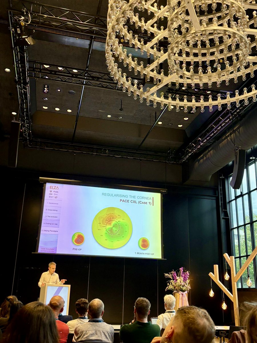 Emilio Torres-Netto tweet media