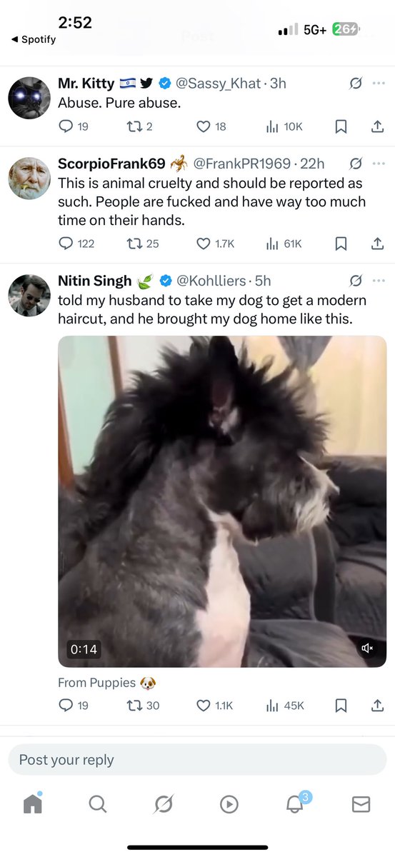 KapriKey's tweet photo. @Kohlliers @PuppiesIover One of yall LYING ! https://t.co/qDAzYpjDPQ