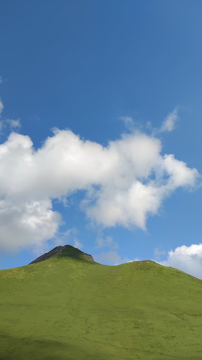 Me3L 🌲 | Copywriting✍️DMs📜| 💧 SUI tweet media