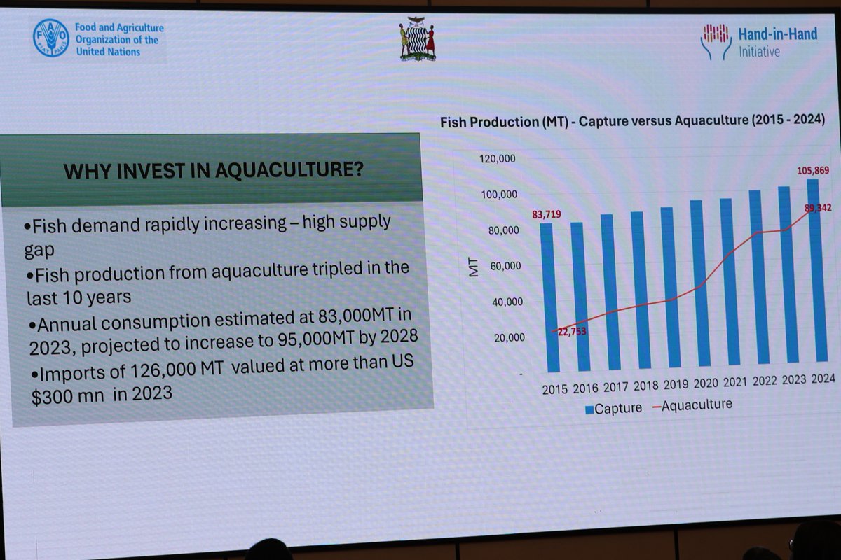 FAO Zambia tweet media